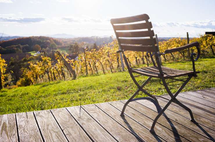Bretterbude - Weinreben