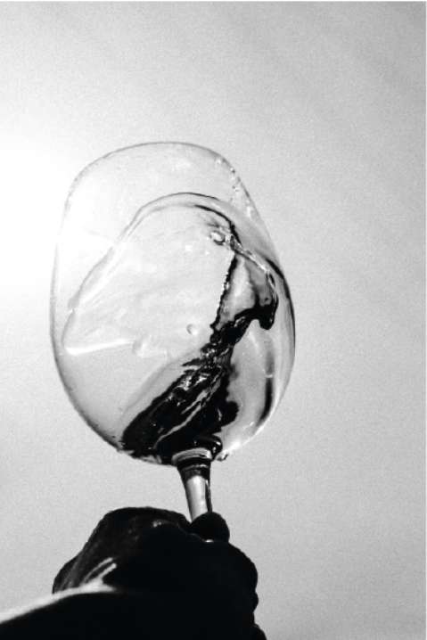 Bretterbude Steiermark Wein Glas